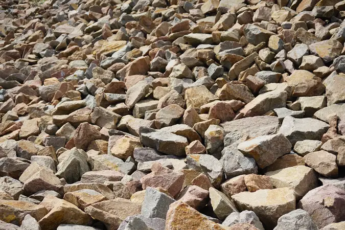 Kamień na skarpy - zalas