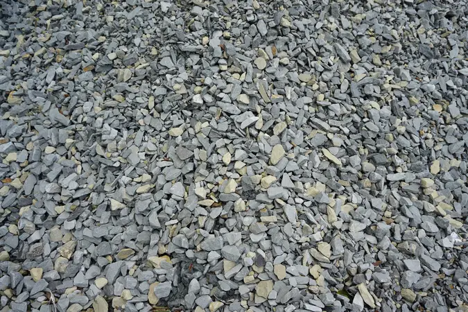 Kliniec (piaskowiec)